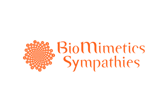 Biomimetics Sympathies